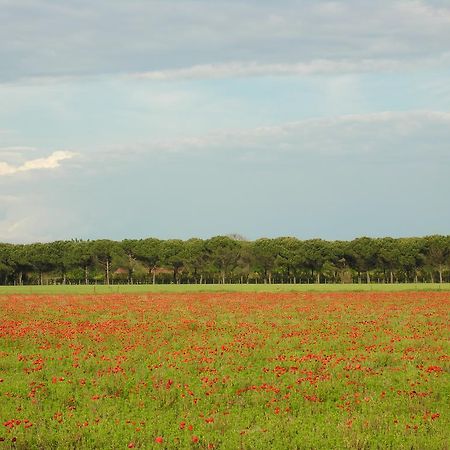 Appartamenti Mirella Bibione Luaran gambar