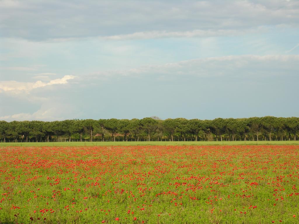 Appartamenti Mirella Bibione Luaran gambar